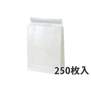 yC[OXӍՃGg[Ń|Cg5{IBLACK FRIDAY11/20zy܁zWP PET z() 320×115×420+60mmq250rysz