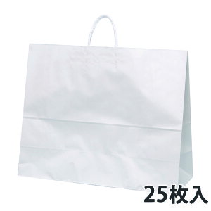 y܁z HV160 N 600×220×480mm (100)