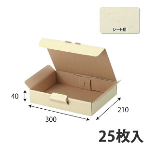 yz pMtg 300×210×40 (100) Mtg{bNX _{[ i{[ p zp 