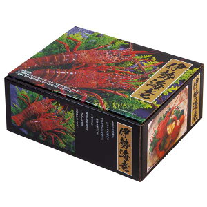 SK-177@ɐCVNO.2M 290×220×118mm(50)