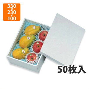 yϔzL-177zCg  330×230×100mm(50)ysz t[cp Mtgp Mtg{bNX  ʕ p ʗp ʕp 