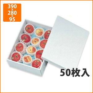 yϔzL-178zCg  390×280×95mmi50jysz t[cp Mtgp Mtg{bNX  ʕ p ʗp ʕp 