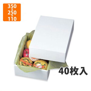 yGg[Ń|Cg7{zyϔzLTO-4OX 350×250×110mm(40jysz t[cp Mtgp Mtg{bNX  ʕ p ʗp p ʕp 
