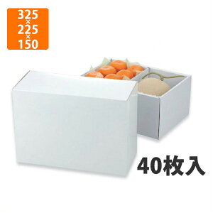 yϔzL-2211COX 325×225×150mm(40)ysz t[cp Mtgp Mtg{bNX  ʕ p ʗp p ʕp 