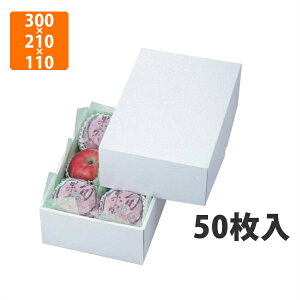 yϔzLTO-12p[ 2 300×210×110mm(50)ysz t[cp Mtgp Mtg{bNX  ʕ p ʗp Sp 񂲗p ʕp 