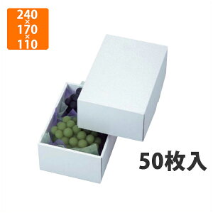 yϔzLTO-18p[ AL 240×170×110mm(50)ysz t[cp Mtgp Mtg{bNX  ʕ p ʗp Ԃǂp uhEp ʕp 