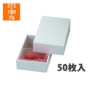 yϔzLTO-26p[ `F[1kg 273×180×70mm(50)ysz t[cp Mtgp Mtg{bNX  ʕ p ʗp ʕp 