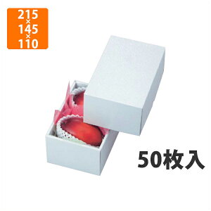 yϔzLTO-19p[ }S[2 215×145×110mm(50jysz t[cp Mtgp Mtg{bNX  ʕ p ʗp ʕp 