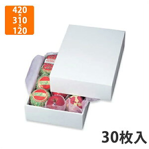 yC[OXӍՃGg[Ń|Cg5{IBLACK FRIDAY11/20zyϔzLTO-7OX 420×310×120mm(30)ysz t[cp Mtgp Mtg{bNX  ʕ p ʗp 