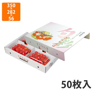 yϔzARL-33 {ʃhI200g×4P 350×282×56mm (50)ysz t[cp Mtgp Mtg{bNX  ʕ p ʗp ʕp