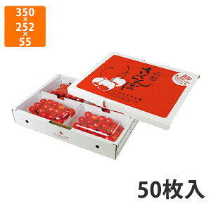 yϔzARL-35 200g×4P@R` 350×252×55mm (50)ysz t[cp Mtgp Mtg{bNX  ʕ p ʗp ʕp