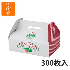 yϔzL-110 t[c 230×170×70mm (300)ysz t[cp Mtgp Mtg{bNX  ʕ p ʗp ʕp