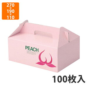 yϔzL-170B  270×190×110mm (100)ysz t[cp Mtgp Mtg{bNX  ʕ p ʗp ʕp