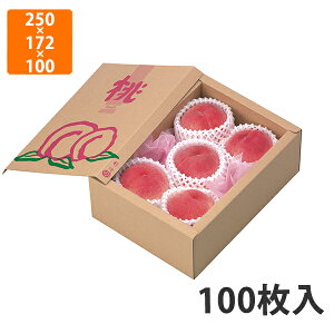 yϔzL-2041 T[rX p 250×172×100mm (100)ysz t[cp Mtgp Mtg{bNX  ʕ p ʗp ʕp