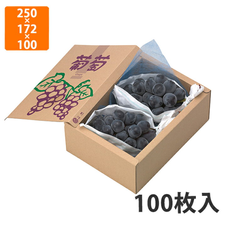楽天市場】【化粧箱】L-2042 サービス箱 ぶどう用 250×172×100mm (100  