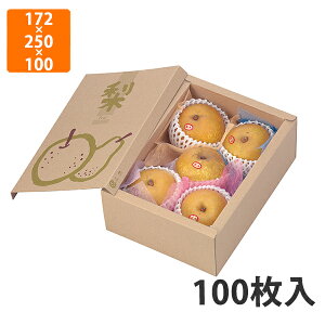 yϔzL-2051 T[rX p 172×250×100mm (100)ysz t[cp Mtgp Mtg{bNX  ʕ p ʗp ʕp