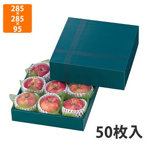 yϔzL-2054 F[pbg 285p@285×285×95mmqg[60mmr (50)ysz t[cp Mtgp Mtg{bNX  ʕ p ʗp ʕp