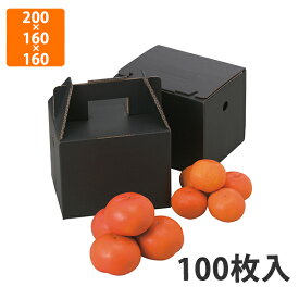 【化粧箱】L-2061 美果 2kg箱　200×160×160（230）mm (100枚入)【代引不可】 フルーツ用 ギフト用 ギフトボックス 紙箱 果物箱 贈答用 青果用 果物用 60サイズ