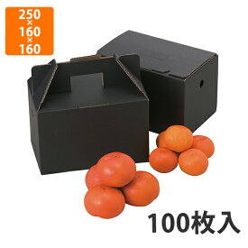 【化粧箱】L-2062 美果 3kg箱　250×160×160（230）mm (100枚入)【代引不可】 フルーツ用 ギフト用 ギフトボックス 紙箱 果物箱 贈答用 青果用 果物用 60サイズ