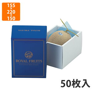 yϔzL-2065 1 u[C 155×220×150mm (50)ysz t[cp Mtgp Mtg{bNX  ʕ p ʗp ʕp