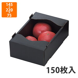 yϔzL-2067 g}g1kg T[rX 145×220×75mm (150)ysz t[cp Mtgp Mtg{bNX  ʕ p ʗp ʕp 