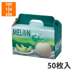 yGg[Ń|Cg7{zyϔzL-2084 rWX 2 300×150×200mm (50)ysz t[cp Mtgp Mtg{bNX  ʕ p ʗp ʕp