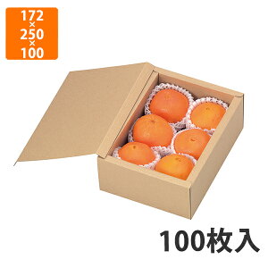 yϔzL-2091 T[rX n@172×250×100mm (100)ysz t[cp Mtgp Mtg{bNX  ʕ p ʗp ʕp