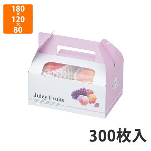 yϔzL-2095 W[V[t[csN@180×120×80mm (300)ysz t[cp Mtgp Mtg{bNX  ʕ p ʗp ʕp