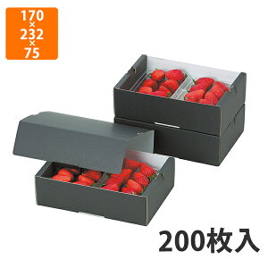 yϔzL-2096 C`S2PT[rX Zbg@170×232×75mm (200)ysz t[cp Mtgp Mtg{bNX  ʕ p ʗp ʕp