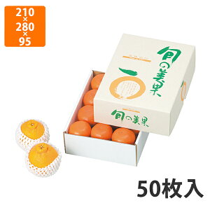 yC[OXӍՃGg[Ń|Cg5{IBLACK FRIDAY11/20zyϔzL-2098 {̔ @210×280×95mm (50)ysz t[cp Mtgp Mtg{bNX  ʕ p 