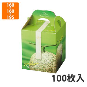yϔzL-2113 WG 1 160×160×195mm (100)ysz t[cp Mtgp Mtg{bNX  ʕ p ʗp ʕp