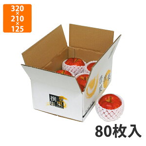 yϔzL-2154 LʐW OF320×210×125mm (80)qF310×200×115mmrysz t[cp Mtgp Mtg{bNX  ʕ p ʗp ʕp
