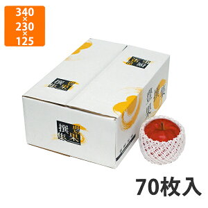 yGg[Ń|Cg7{zyϔzL-2155 LʐW  OF340×230×125mm (70)qF330×220×115mmrysz t[cp Mtgp Mtg{bNX  ʕ p ʗp 