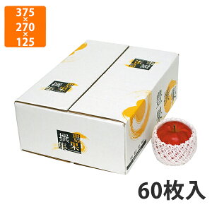 yϔzL-2156 LʐW BOF375×270×125mm (60)qF365×260×115mmrysz t[cp Mtgp Mtg{bNX  ʕ p ʗp ʕp