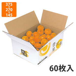 yϔzL-2157 LʐW 5kgOF375×270×145mm (60)qF365×260×135mmrysz t[cp Mtgp Mtg{bNX  ʕ p ʗp ʕp