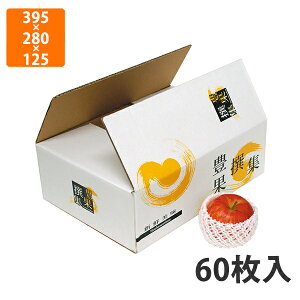 yϔzL-2158 LʐW OF395×280×125mm (60)qF385×270×115mmrysz t[cp Mtgp Mtg{bNX  ʕ p ʗp ʕp