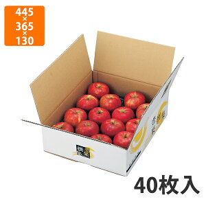 yԓGg[Ń|Cg7{zyϔzL-2159 LʐW DXOF445×365×130mm (40)qF435×355×120mmrysz t[cp Mtgp Mtg{bNX  ʕ p 