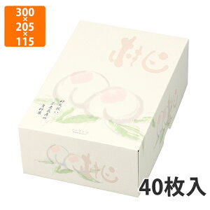 yϔzL-2192 g˂̓ 1.5@300×205×115mm (40)ysz t[cp Mtgp Mtg{bNX  ʕ p ʗp ʕp