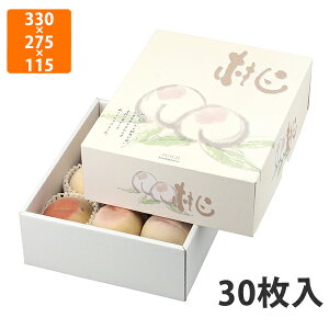 yϔzL-2193 g˂̓ 2@ 330×275×115mm (30)ysz t[cp Mtgp Mtg{bNX  ʕ p ʗp ʕp