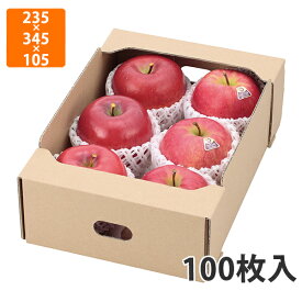 【化粧箱】L-2230 K5サービス箱6　235×345×105mm (100枚入)【代引不可】 フルーツ用 ギフト用 ギフトボックス 紙箱 果物箱 贈答用 青果用 果物用 野菜