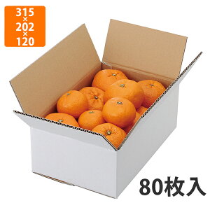 yϔzL-2231 A݂񔒖n 3kg@315×202×120mm (80)ysz t[cp Mtgp Mtg{bNX  ʕ p ʗp ʕp