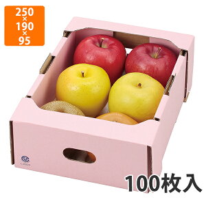 yϔzL-2237 T[rXsN@250×190×95mm (100)ysz t[cp Mtgp Mtg{bNX  ʕ p ʗp ʕp 