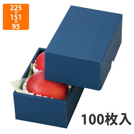 【化粧箱】L-2238 マンゴー2ヶネイビー箱　225×151×95mm（100枚入）【代引不可】 フルーツ用 ギフト用 ギフトボックス 紙箱 果物箱 贈答用 青果用 果物用