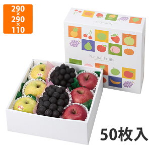 yC[OXӍՃGg[Ń|Cg5{IBLACK FRIDAY11/20zyϔzL-2253 i`t[c290p@290×290×110mm (50)ysz t[cp Mtgp Mtg{bNX  