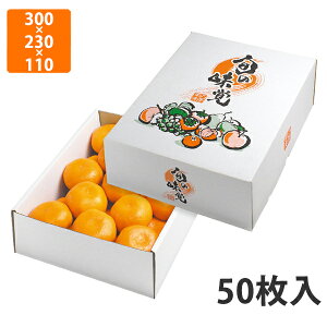 yϔzL-2267 lG̉ʎ @300×230×110mm (50)ysz t[cp Mtgp Mtg{bNX  ʕ p ʗp ʕp