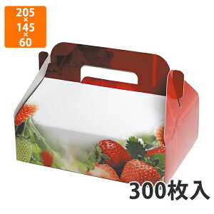 yϔzL-2270 Xgx[p_CX 1P@205×145×60mm (300)ysz t[cp Mtgp Mtg{bNX  ʕ p ʗp ʕp 