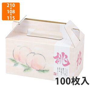 yϔzL-2282 ʎ2@210×108×115mm (100)ysz t[cp Mtgp Mtg{bNX  ʕ p ʗp ʕp