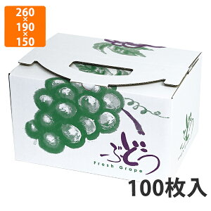 yϔzL-2305 Ԃǂ̗ @260×190×150i240jmm (100)ysz t[cp Mtgp Mtg{bNX  ʕ p ʗp ʕp