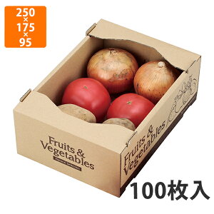 yϔzL-2307 t[cxW^uT[rX @250×175×95mm (100)ysz t[cp Mtgp Mtg{bNX  ʕ p ʗp ʕp 