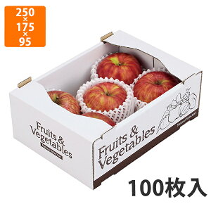 yϔzL-2308 t[cxW^uT[rX @250×175×95mm (100)ysz t[cp Mtgp Mtg{bNX  ʕ p ʗp ʕp 